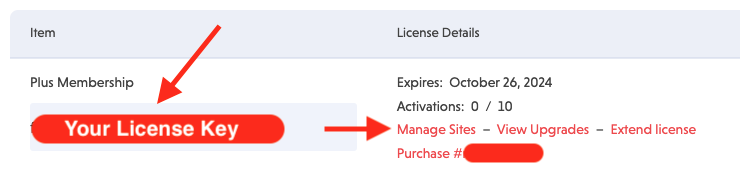 image of a membership license key as it appears in the NinjaForms.com accounts area